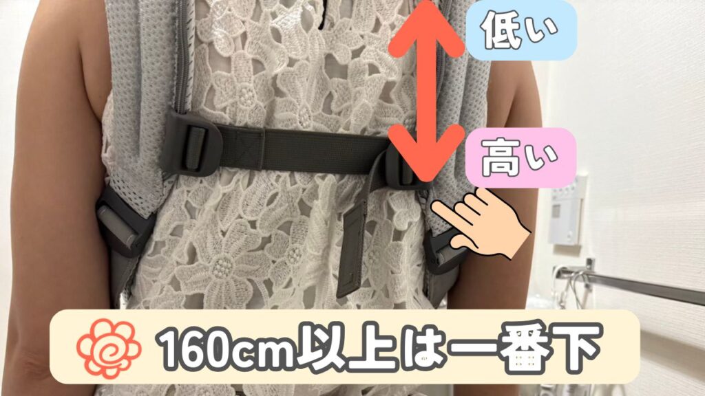 背面のバックストラップの画像