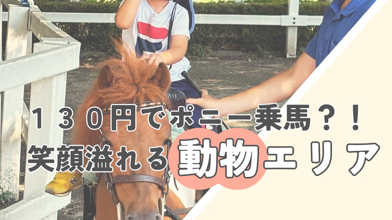 ポニー乗馬の画像
