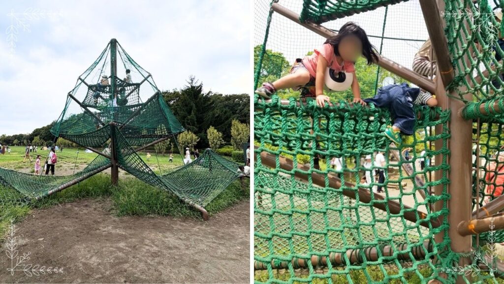 やまびこの樹に登る子どもたちの画像