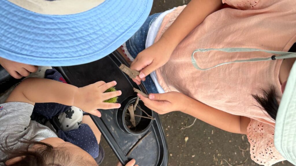 子どもが木の枝・どんぐり・栗などを触って遊んでいる画像