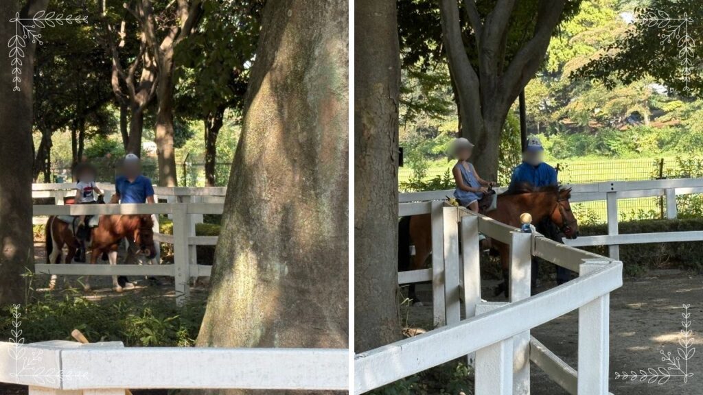 トラックで乗馬の流れの画像