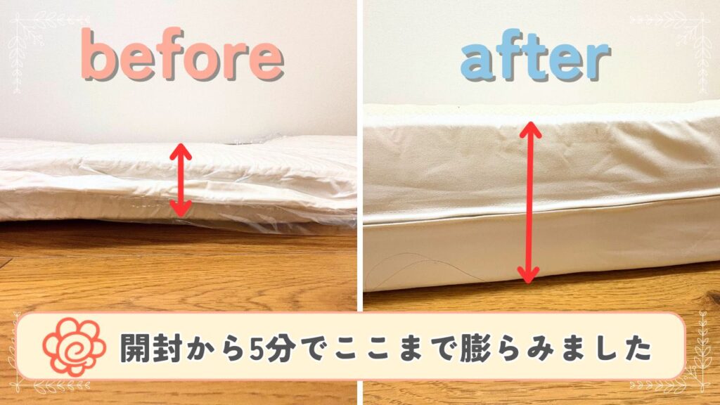 圧縮から取り出して膨らむ時の画像