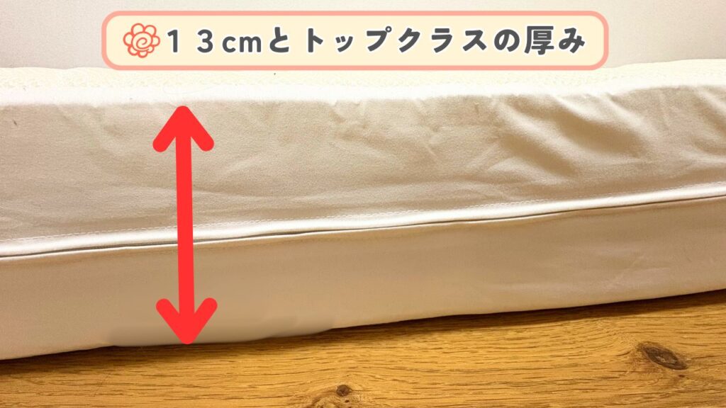 １３cmの厚みがわかる画像