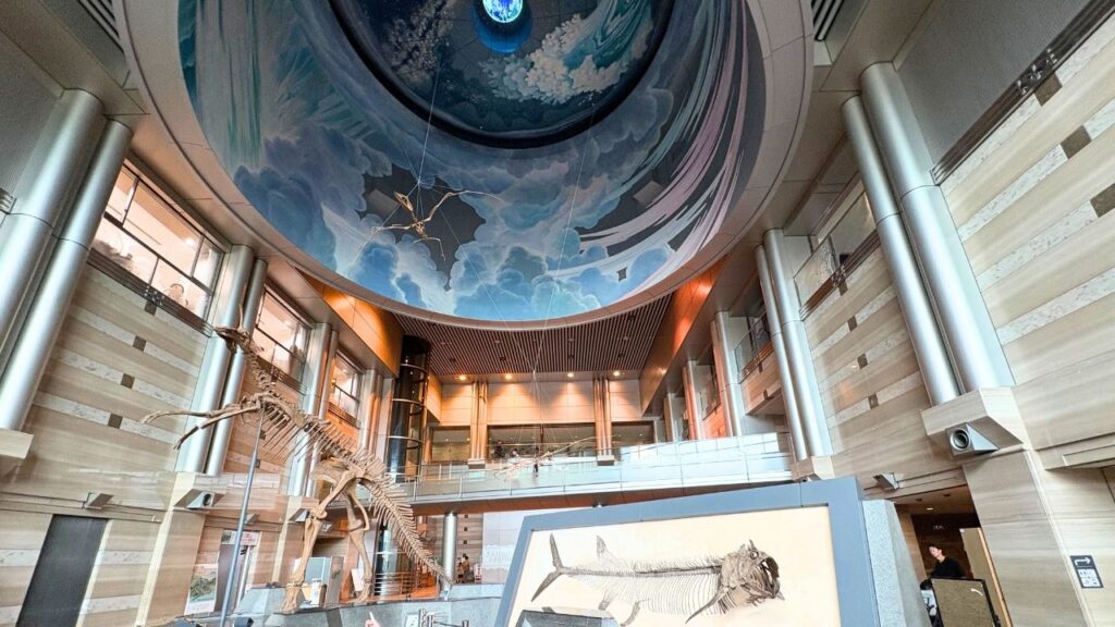 生命の星・地球博物館エントランスの画像