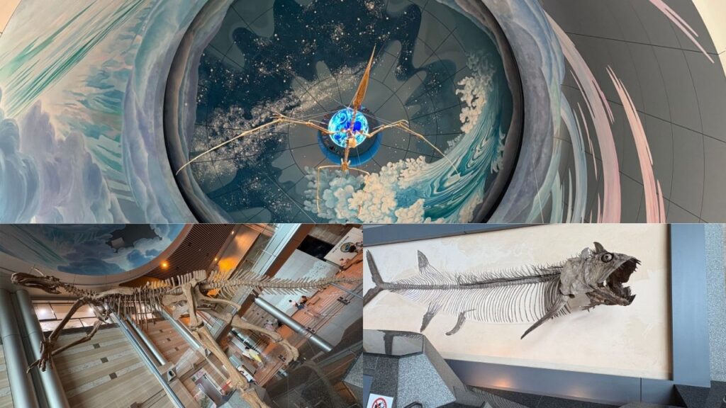 大魚「クシファクチヌス・アウダクス」恐竜「トゥプクスアラ」の全身骨格トリケラトプスの画像