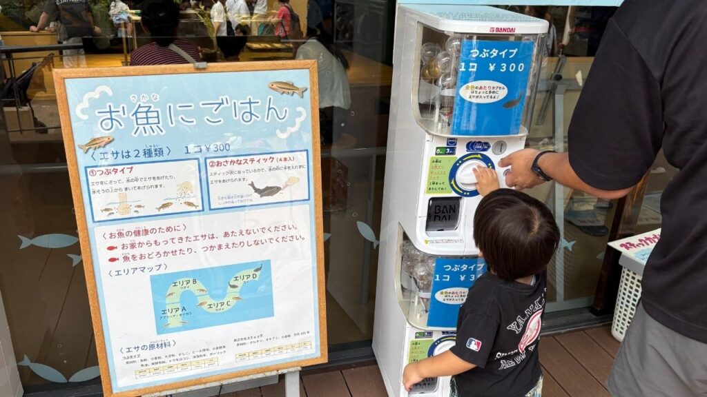 お魚のご飯のガチャガチャの画像