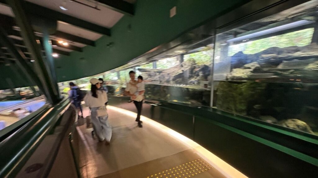 ４０mの巨大ロング水槽の画像