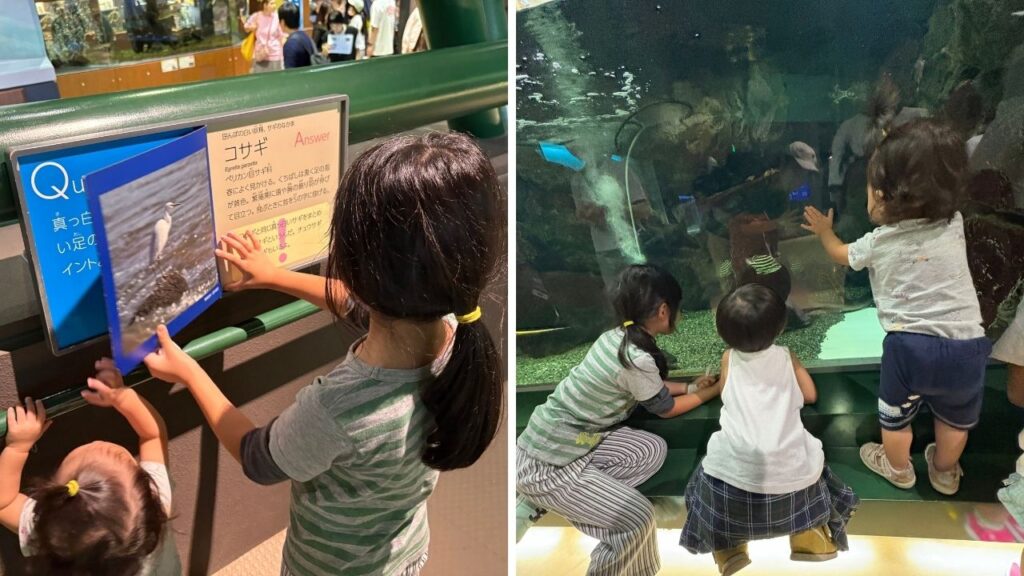 色々な魚に夢中になる３人の子供の画像