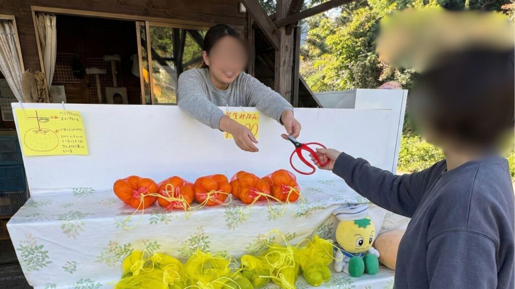 ハサミとみかん狩りの説明を受けている画像
