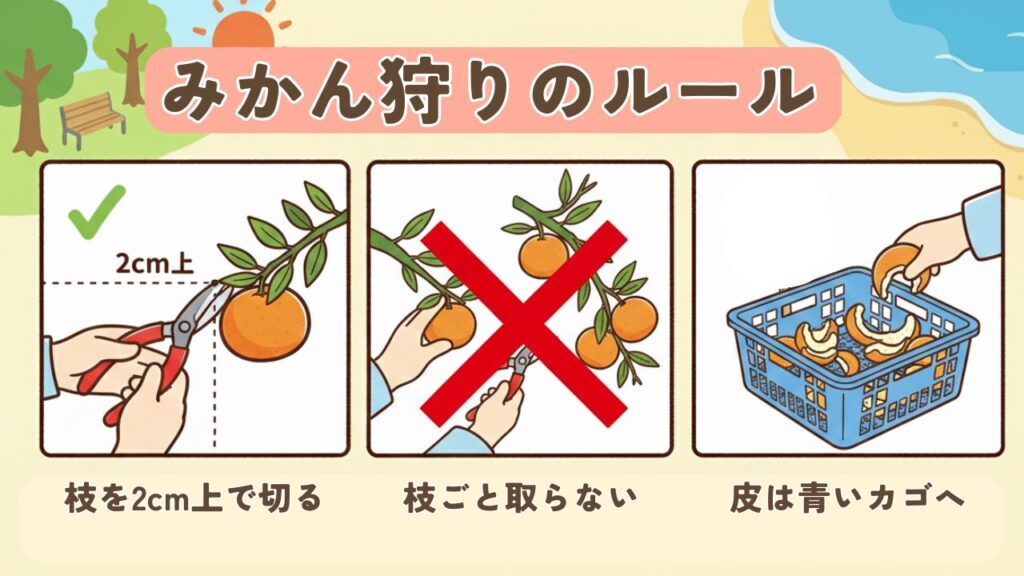 みかん狩りのルール説明の画像