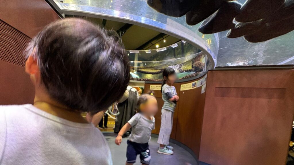 ドーナツ型の水槽の中に入る子供の画像