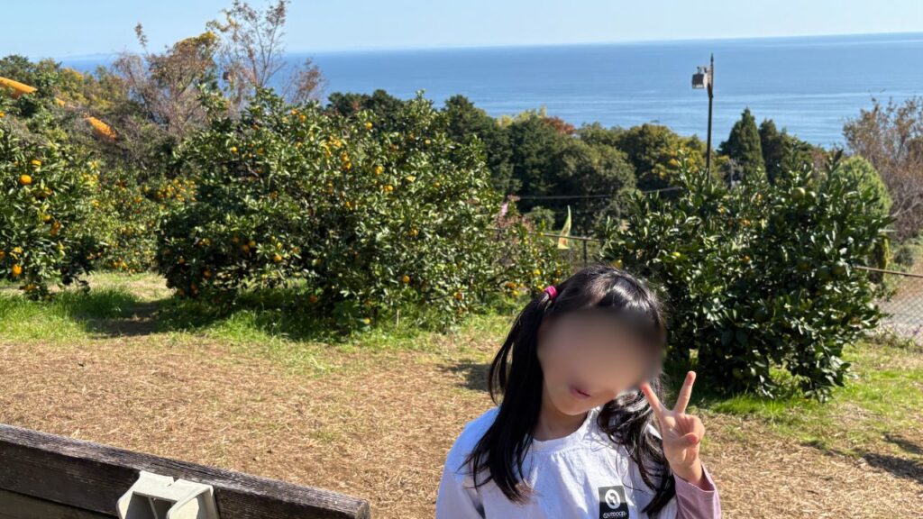 みかん狩りを楽しむ子供の画像