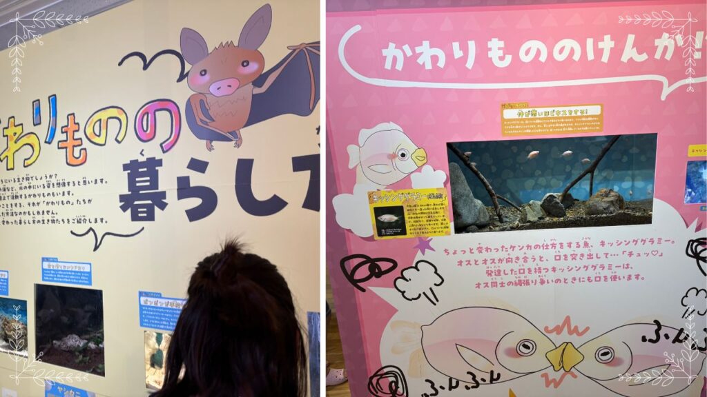 かわりものの暮らしの画像