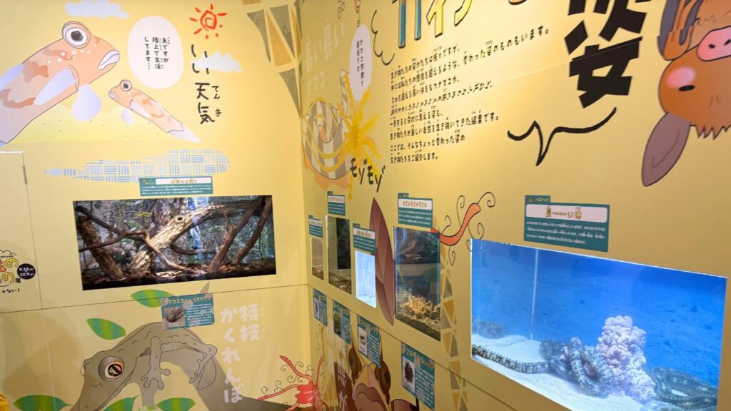 どんな展示方法なのかがわかる全体の画像