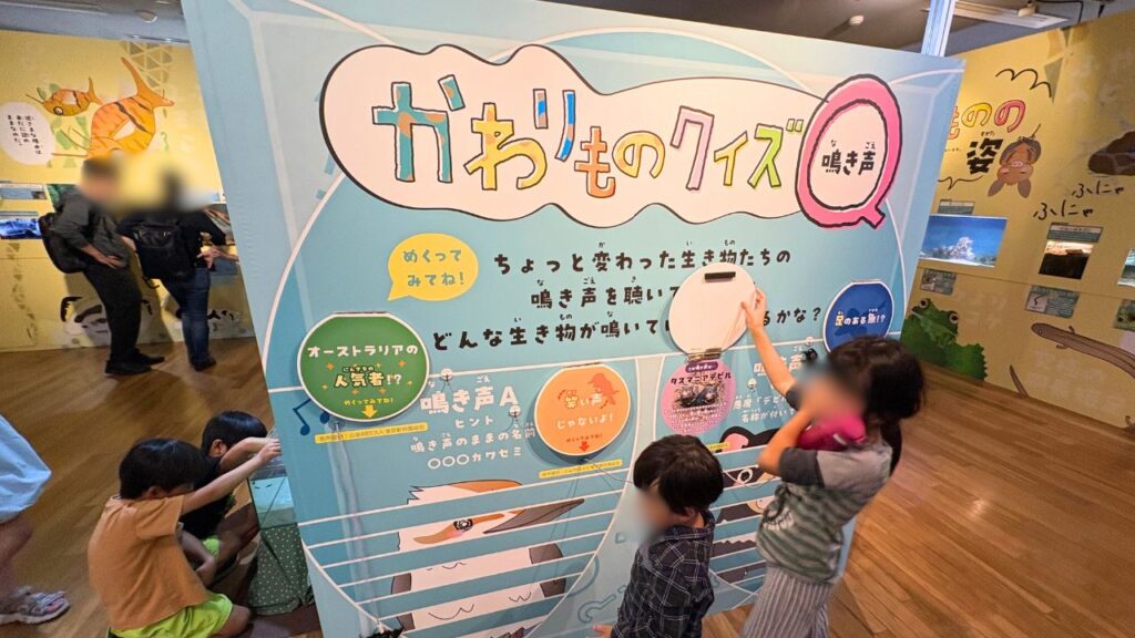 かわりものクイズ鳴き声編のパネル画像