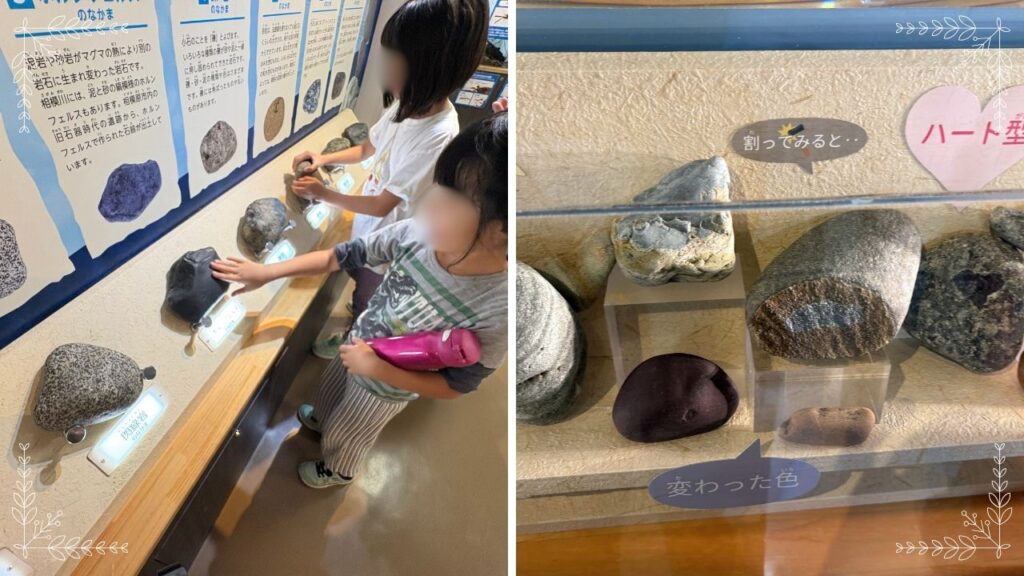 河川敷の医師たちを触っている画像