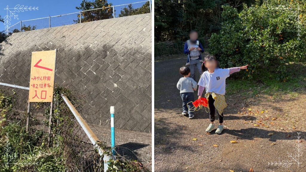 みかん狩りに向かう外観