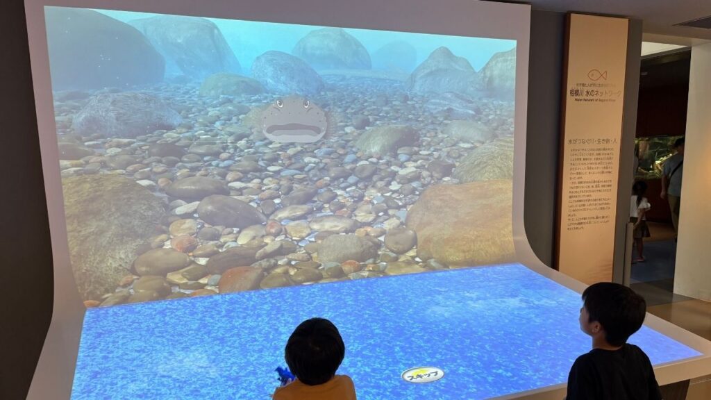 巨大プロジェクターでクイズに挑戦する子供の画像