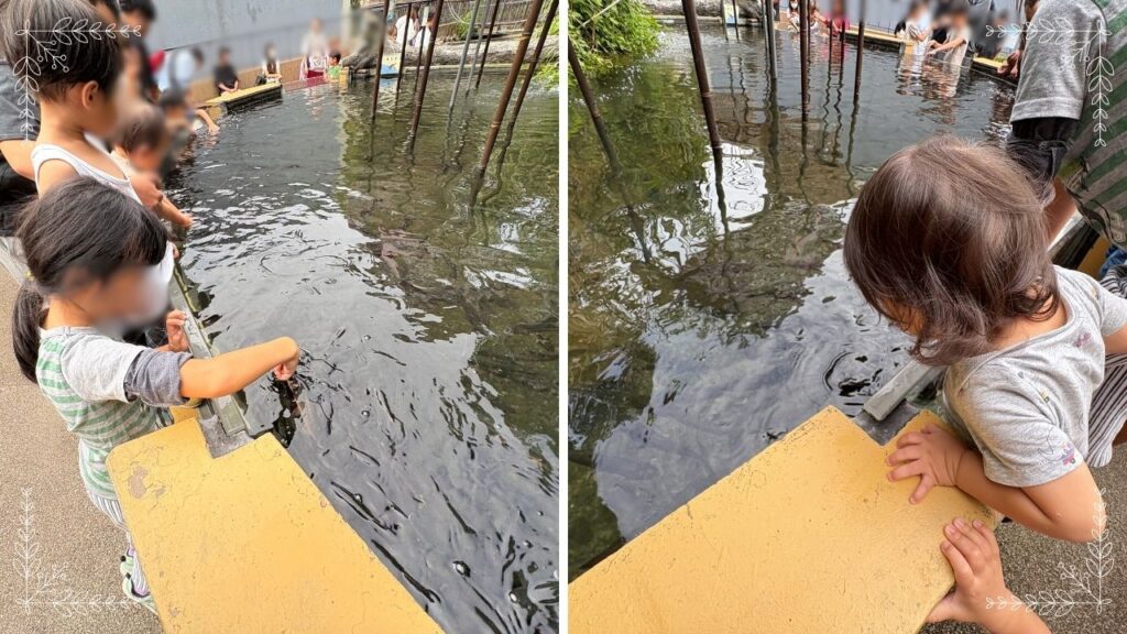 お魚の餌やりをする長女と怖がる長男と次男の画像