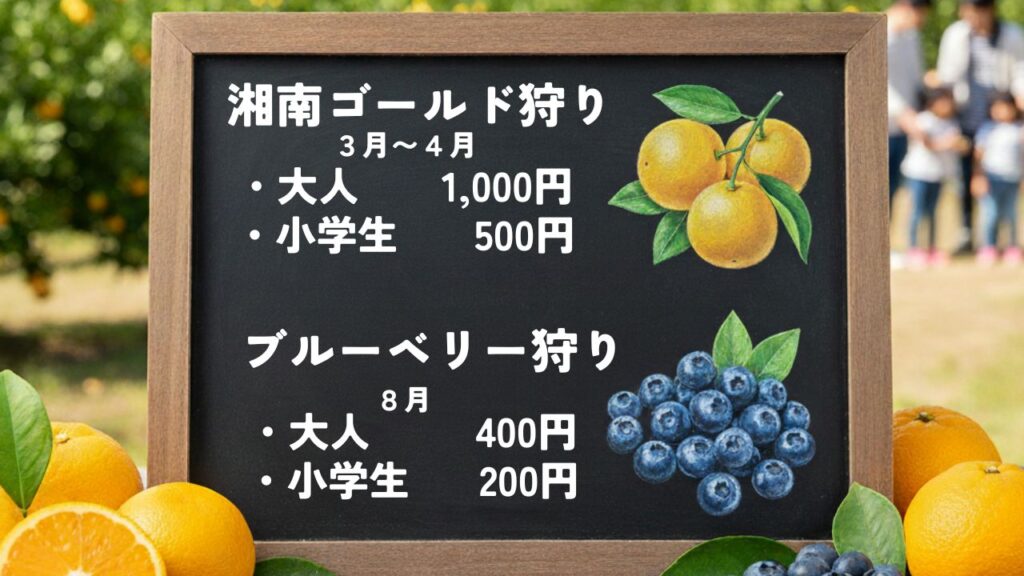湘南ゴールド狩りとブルーベリー狩りの価格表
